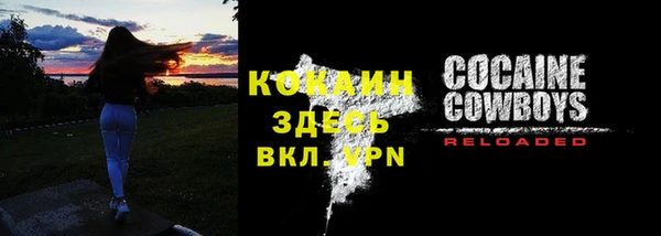 амф Алексин