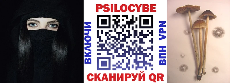 darknet какой сайт  Новоаннинский  Галлюциногенные грибы GOLDEN TEACHER 